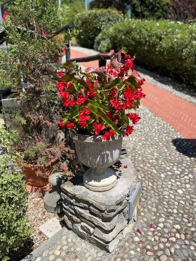 Agriturismo A Canonica Гарленда Екстер'єр фото