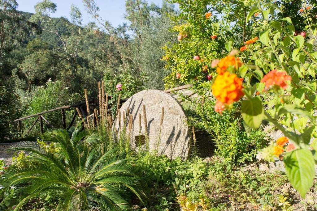 Agriturismo A Canonica Гарленда Екстер'єр фото